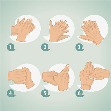 Uważnie obserwuj, jak należy wykonywać higienę rąk
