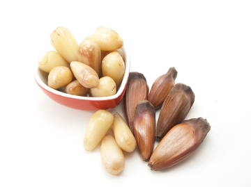 Pine nuts are an important nutritional source for several animals, including humans.