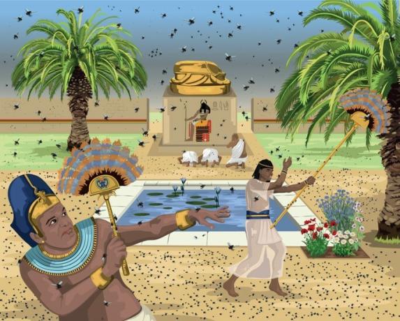A patra plagă a Egiptului: infestarea cu muște.