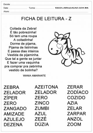 Letter Z Reading Sheet - Zebra