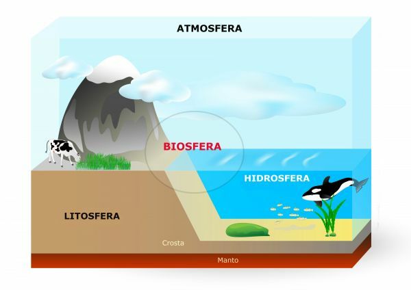 Biosfääri: mitä se on, ekosfääri ja biosfäärialueet