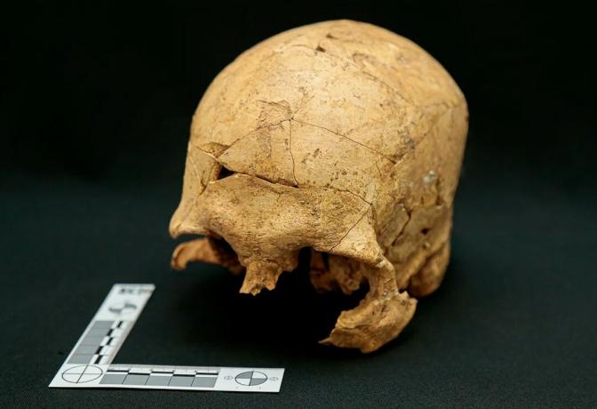 Самый старый скелет, когда-либо найденный в Сан-Паулу, принадлежал коренным жителям, и ему 10 000 лет.