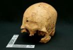 Det ældste skelet nogensinde fundet i São Paulo var indfødt og er 10.000 år gammelt