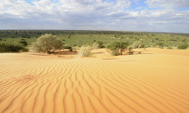 Landscape of the Kalahari Desert at a point in northern South Africa.
