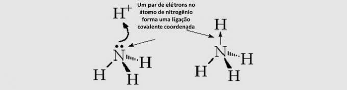 koordinere kovalent binding