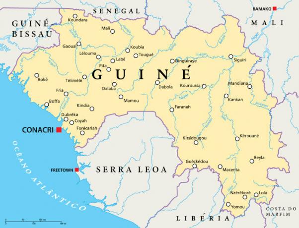 Umístění Guineje.
