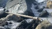 Arkeologer finner norsk pil over 3000 år gammel i PERFEKT stand