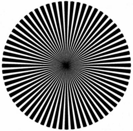 Află ce fel de geniu ești uitându-te la această iluzie optică
