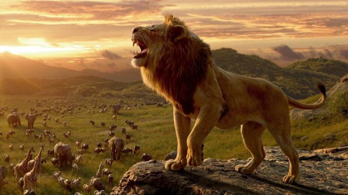 Pagaliau atskleidžiama DIDŽIOJI „Karaliaus liūto“ MĖSTERIJA; patikrink!