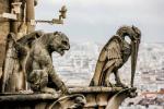 Notre-Dame katedral: historie, konstruksjon og nysgjerrigheter