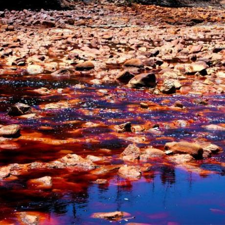Od krokodílov po kanibalov: objavte 11 najnebezpečnejších riek na svete