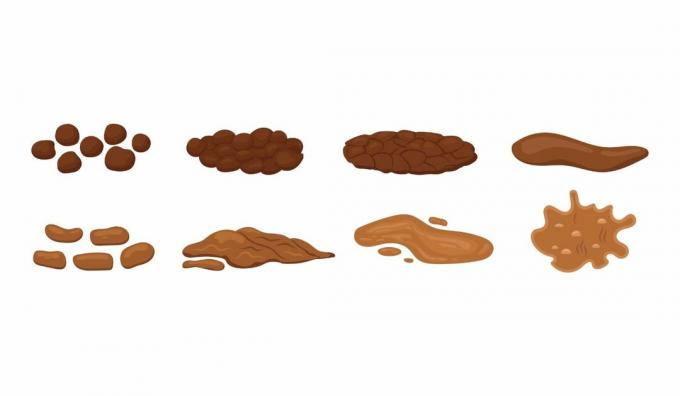 Health and Poop: The Definitive Guide to Understanding Stool Color and Shape!