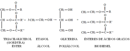 Transesterification reaction to obtain biodiesel