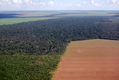 Poľnohospodárske hranice. Poľnohospodárske hranice v Brazílii