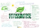 Kaj je fotosinteza?