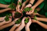 Екологічна освіта: цілі, значення та в школах