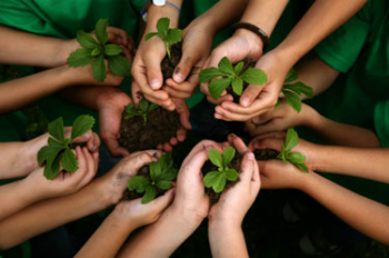 חינוך סביבתי: יעדים, חשיבות ובבתי ספר