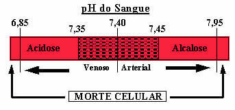 If the blood pH increases too much, it is a case of alkalosis; if it decreases, it will be an acidosis