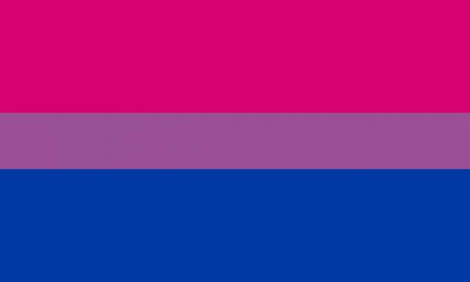 Bisexuell flagga med rosa, lila och blå färger.