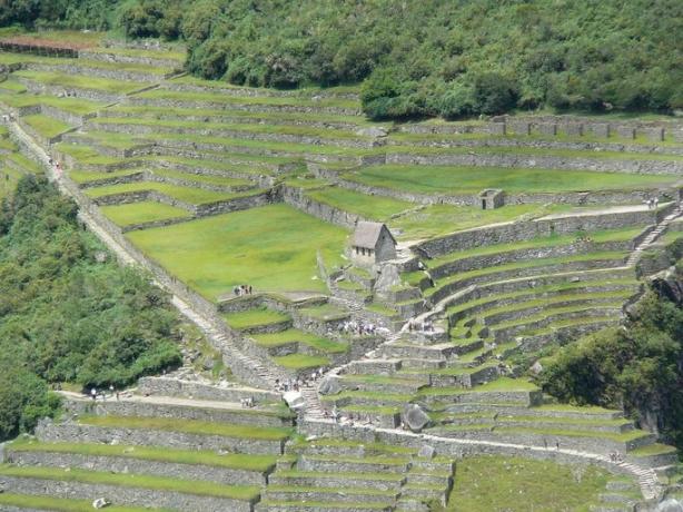 Inkas: Merkmale des Inka-Reiches