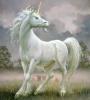 Unicorn: origin and meanings
