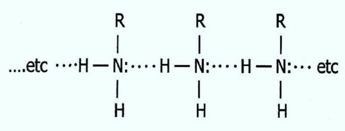 primær amin og hydrogenbinding