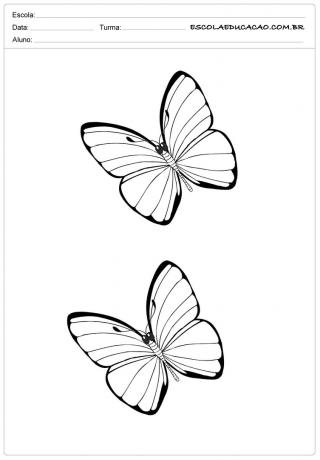 Schmetterlingsform - 32