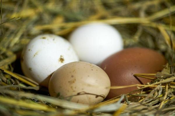 En algunas culturas antiguas, el huevo se consideraba un símbolo que representaba la fertilidad.