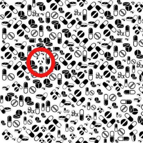 Czy potrafisz znaleźć misia pandę ukrytego na tym obrazku?