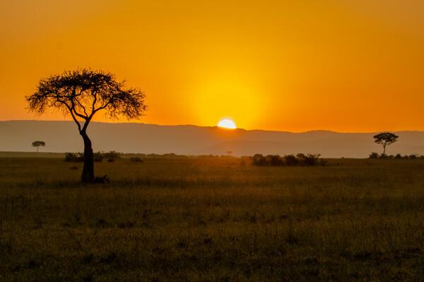 Regione di savana, in Kenya, uno dei paesi partecipanti all'Unione Africana.