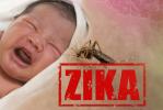 Zika: A disease transmitted by Aedes aegypti