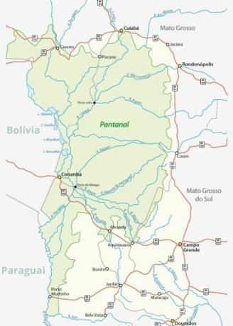 Område med forekomst af Pantanal. 