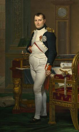 Invázia do Portugalska na príkaz Napoleona Bonaparteho bola dôvodom, ktorý viedol portugalský súd k presťahovaniu do Brazílie.
