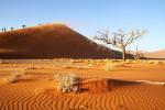 Deset največjih puščav na svetu in njihove lokacije