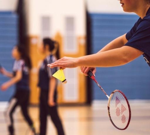 Badminton: reguli, cum se joacă și istorie