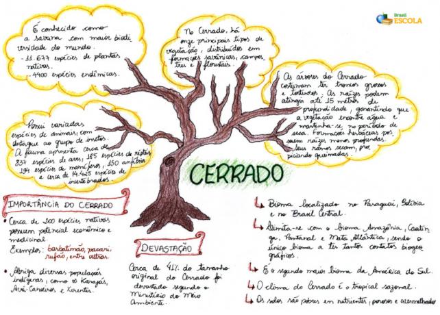 Χάρτης μυαλού: Cerrado