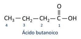 Structural formula of butanoic acid