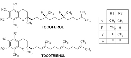 Structures de la vitamine E, où α, β, ou sont déterminés en fonction de la position du groupe méthyle