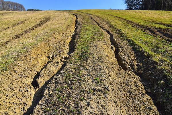 Furrows caused by water “paths” – rain erosion.