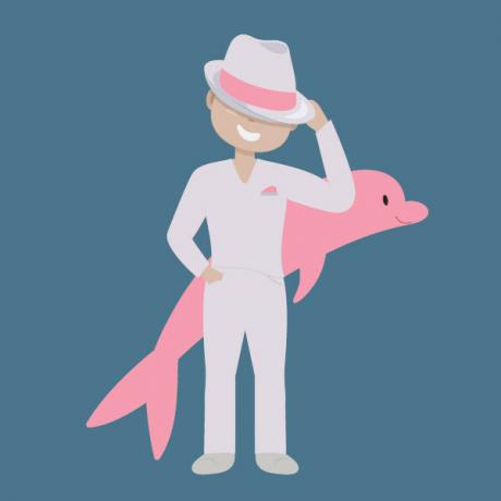 Illustration of the pink dolphin, character of one of the most famous legends of Brazilian folklore.