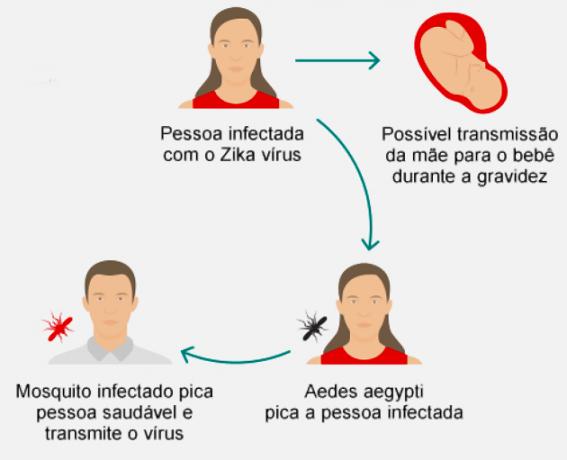 Zika emisija