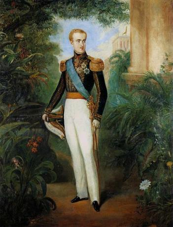 Pedro de Alcântara, 20 år gammel