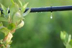 Irrigation and water saving