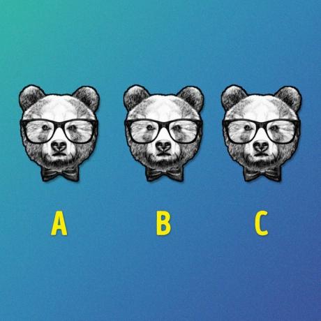 What makes the bear unique? You only have 7 seconds to answer