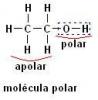 Polare og ikke-polære organiske molekyler