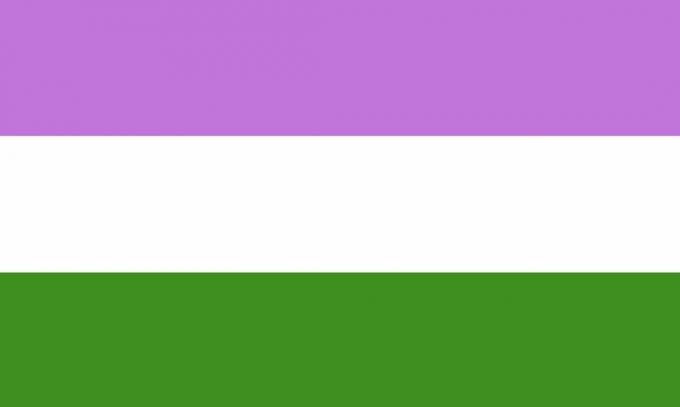 Queerowa flaga w fioletowe, białe i zielone paski
