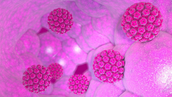 HPV is the name given to a group of viruses that affect the skin and mucous membranes. Some types of HPV are related to cervical cancer.