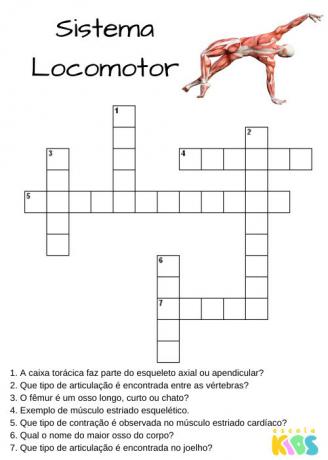 Locomotor system crossword