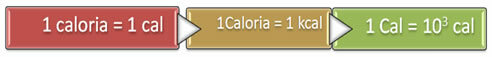 Kalorična vsebnost ali kalorije. Kalorična vsebnost in kalorije
