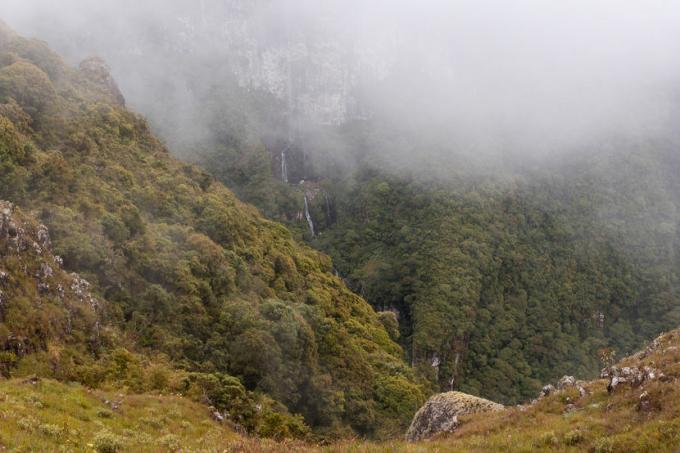 Nebel in Rio Grande do Sul im Herbst.